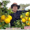 대교농산 이미지