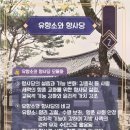 유향소 이미지