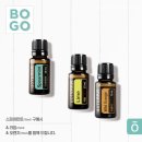 라임오렌지 이미지