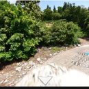 산방산탑부동산공인중개사사무소 이미지