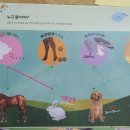 멍멍아 까꿍 이미지