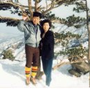 태백산맥 이미지