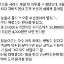 코오롱옷수선