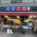 신항대패