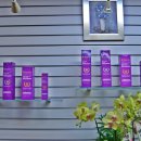 천연머리염색 이미지