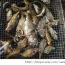 우성민박 이미지