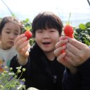 그린나래태권도장 이미지