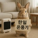 한일양지뜸작은도서관 | 한일 HEF-101MINI 온풍기 안전성·가성비·성능까지 갖춘 미니히터