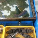 자작농장 이미지