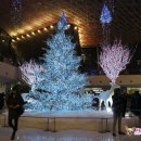 풍어촌 | 크리스마스 데이트, 메리크리스마스 일상♡