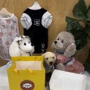 뚜드림 수원점 이미지