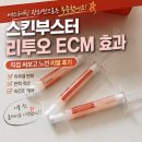 스킨부스터 ECM 종류 내돈내산 리디엔에이 리투오 스킨부스터 효과 후기