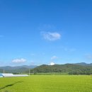 풀잎사랑 | [전북 부안 1박 2일 여행 ②] 깔끔하고 조용한 숙소 변산반도 풀잎사랑펜션