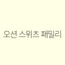 위치스위츠
