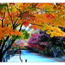 삼곡 이미지