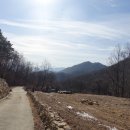 당산농장 Daum카페