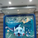 창원 여행/여행/국내여행 : 음지교를 건너 진해해양공원 해양생물테마파크에서 신비한 해양생태계 감상