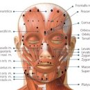 베스트원의원 이미지