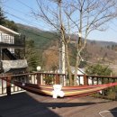 덕솔이네 이미지