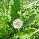 둥이네 농장 이미지