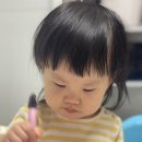 포천통키 이미지