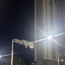 장터뚝배기 | 마산 오동동 숨은맛집 로컬맛집 장터뚝배기 한우곱창전골 차돌박이