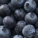 현덕농장 이미지