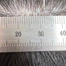 연세모에버의원 이미지