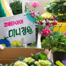 신천지카센타 이미지