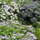 행복공인중개사사무소 이미지