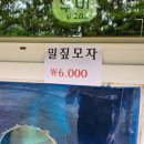 청산닭집 - 중구 목척4길 36 | 청산닭집