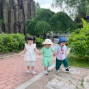 오정식물원 이미지