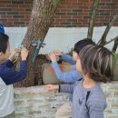 영도중앙유치원 이미지