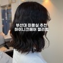 헤어 125 | 부산대 미용실 추천 / 부산대 가성비 미용실 하이니크헤어 젤리펌 후기