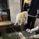 우성건재 이미지