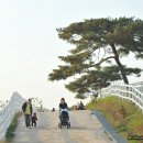 은행나무목장 이미지