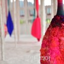 영월Y파크(술샘박물관) 이미지