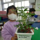 자연과식물원예연구소 이미지