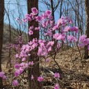 소원공인중개사사무소 이미지