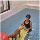 더블루네스 이미지