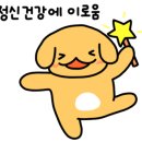 요리 초보 집밥 만들기 이미지