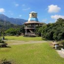 용안 농장 이미지