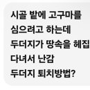 두더지 퇴치법 이미지