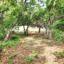 김양택 선생묘 이미지