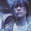 브릭(BRICK) 이미지