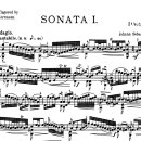 손 혈자리 수지요법 이미지