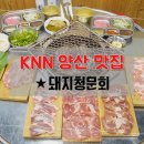 돼지청문회