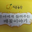 P-5325 | 시원하고 꿀맛같은 지은농산 &#34;배&#34;