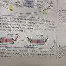 산염기 실험에서 질산칼륨 쓰는 이유? 이미지