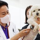 담양군 반려유기동물 공공진료소 이미지